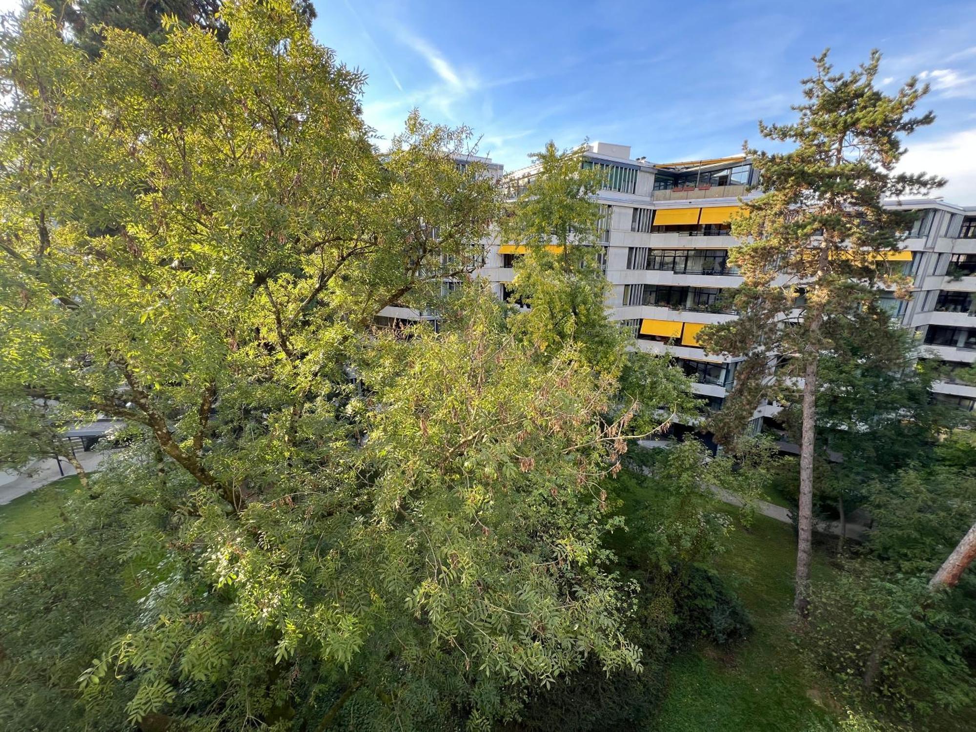 With A View - Champel Geneva